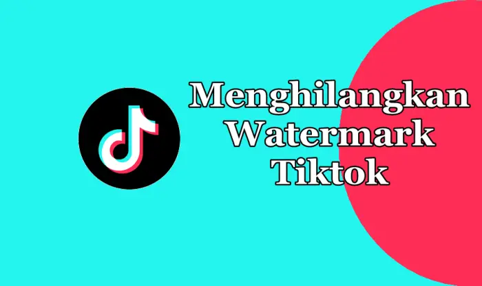 Read more about the article 4 Cara Menghapus Watermark Tiktok di iPhone yang Paling Mudah
