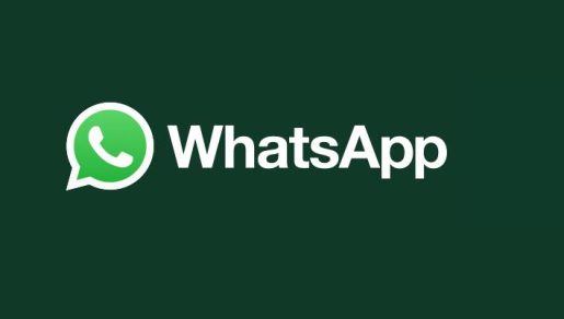 Read more about the article Cara OFF Whatsapp Tanpa Mematikan Data Seluler di Oppo