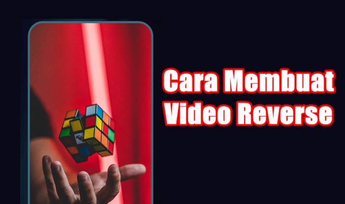 Read more about the article Cara Membuat Video Reverse di Capcut, Tiktok dan inShot